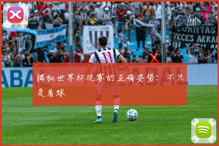 揭秘世界杯观赛的正确姿势:不只是看球