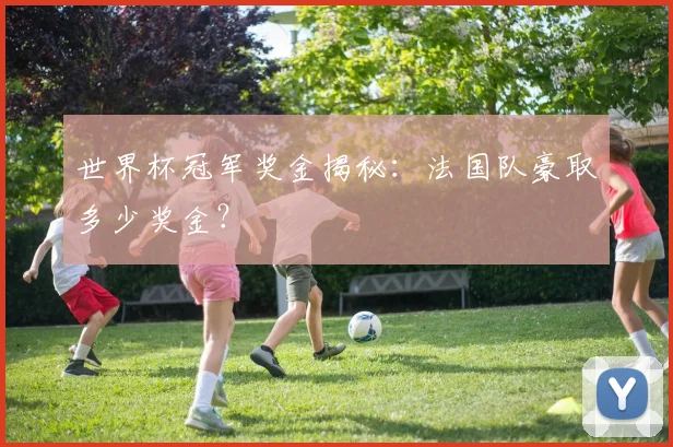 世界杯冠军奖金揭秘:法国队豪取多少奖金?