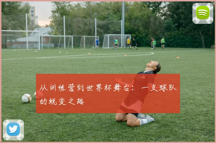 从训练营到世界杯舞台：一支球队的蜕变之路