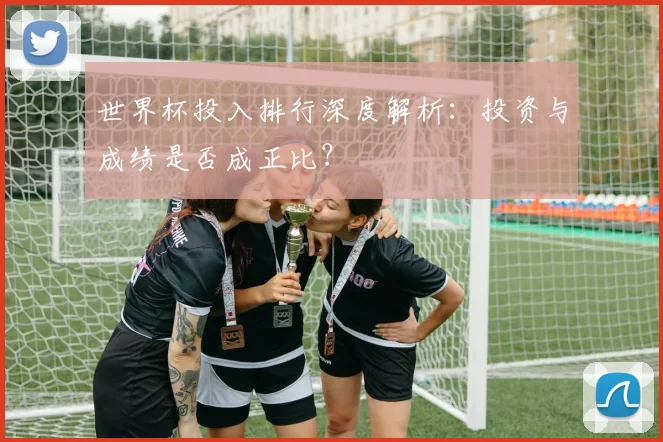 世界杯投入排行深度解析：投资与成绩是否成正比？